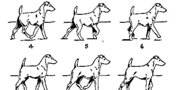 Article teaser image