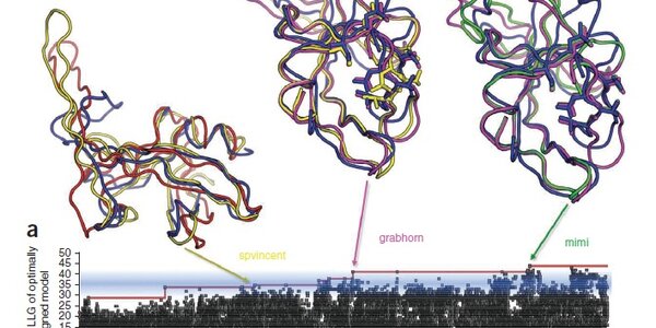 Article teaser image