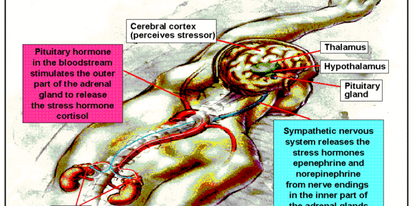 Article teaser image