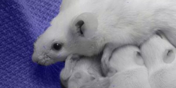 Article teaser image