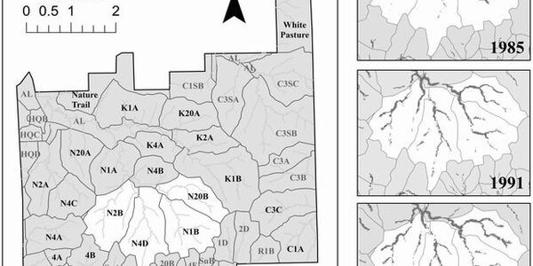 Article teaser image