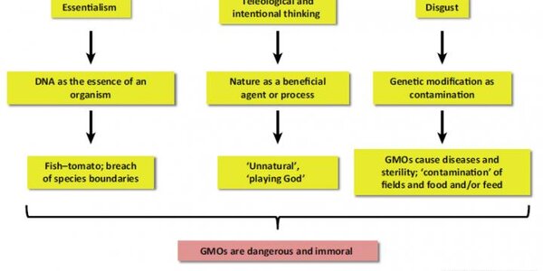 Article teaser image
