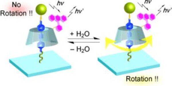 Article teaser image