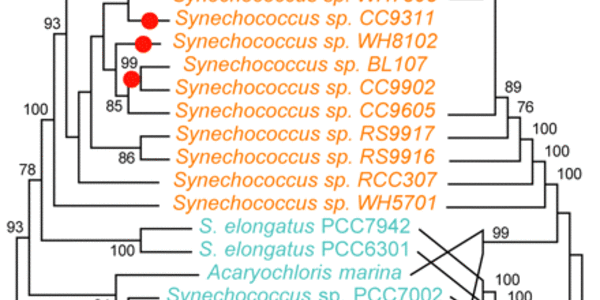 Article teaser image