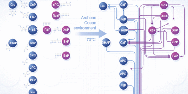 Article teaser image