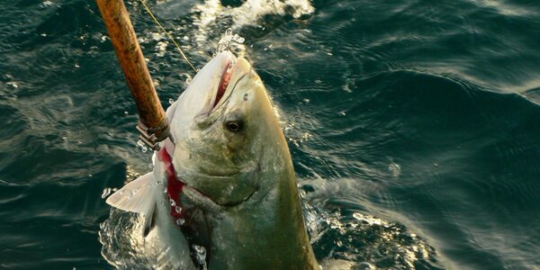 Article teaser image