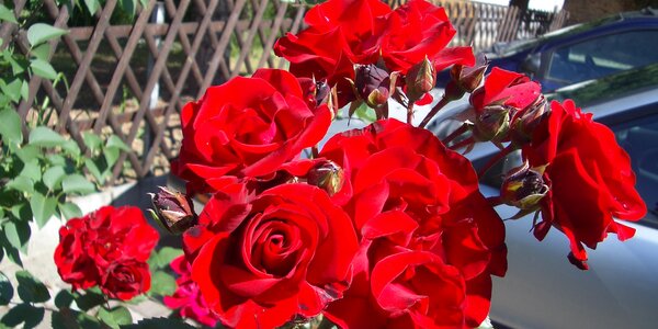 Article teaser image