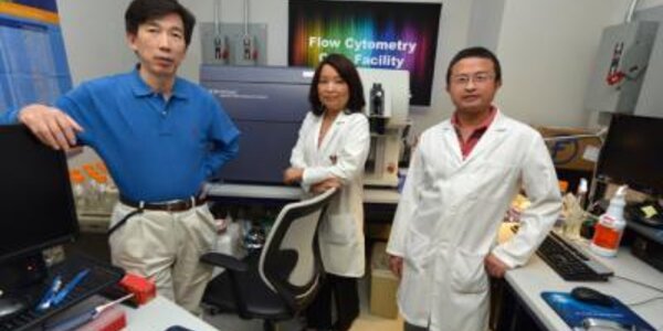 Article teaser image