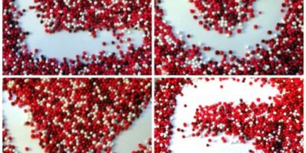 Article teaser image