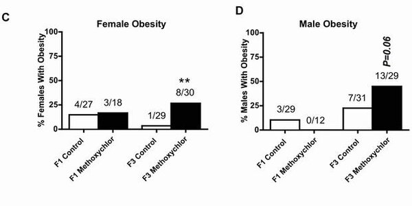 Article teaser image