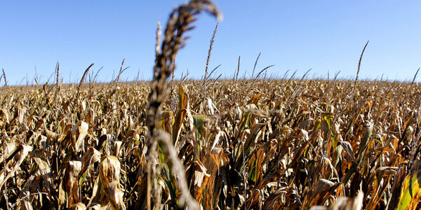 Article teaser image