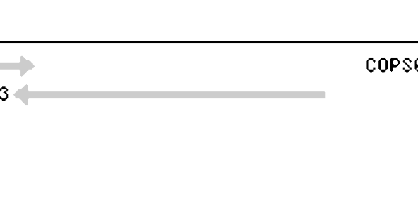 Article teaser image