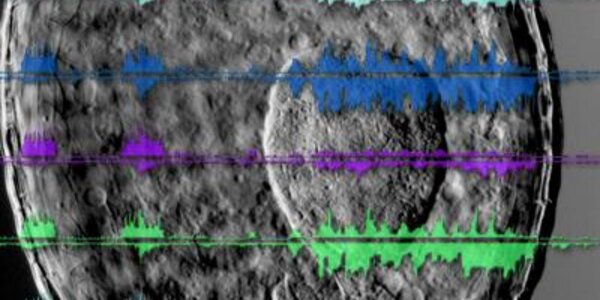 Article teaser image