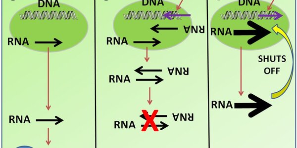 Article teaser image