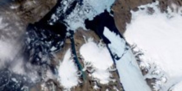 Article teaser image