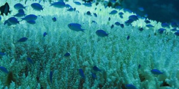 Article teaser image