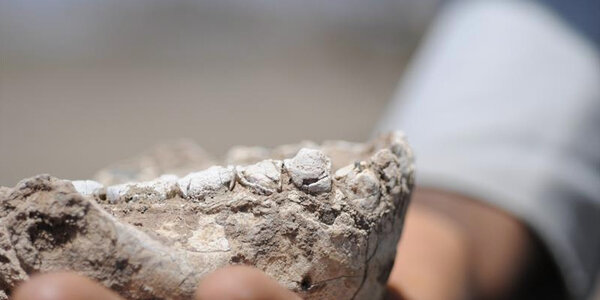 Article teaser image