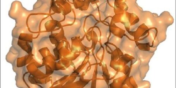 Article teaser image