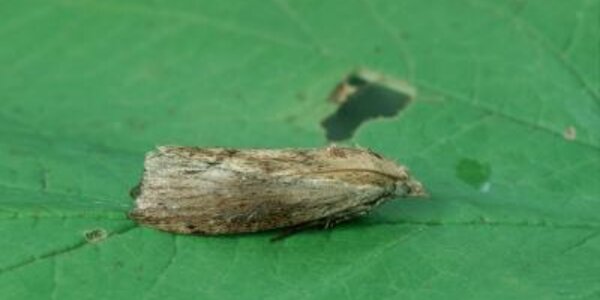 Article teaser image