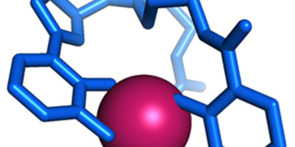 Article teaser image