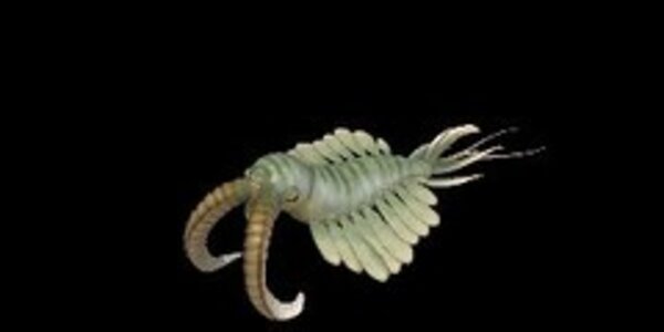 Article teaser image