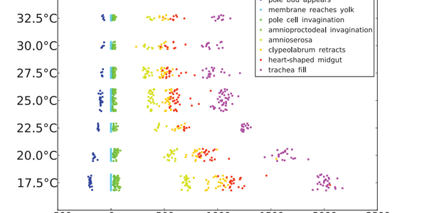 Article teaser image
