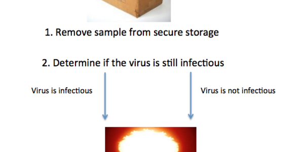 Article teaser image