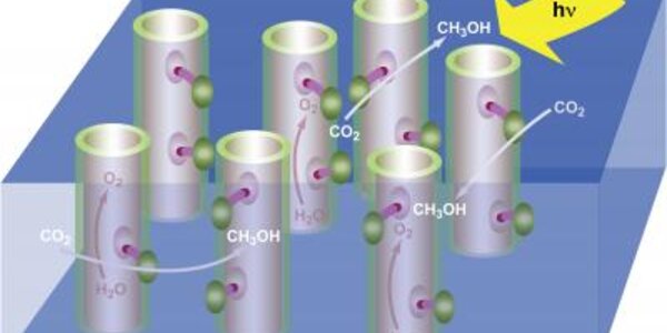 Article teaser image