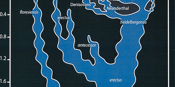 Article teaser image