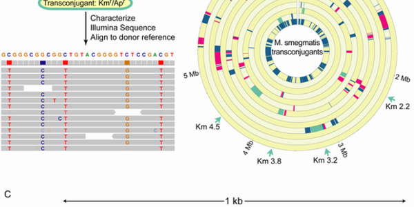 Article teaser image