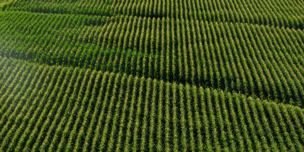 Article teaser image