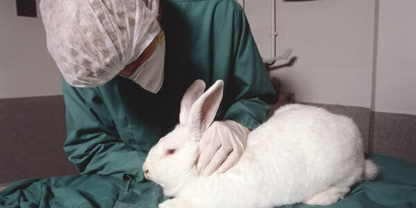 Article teaser image