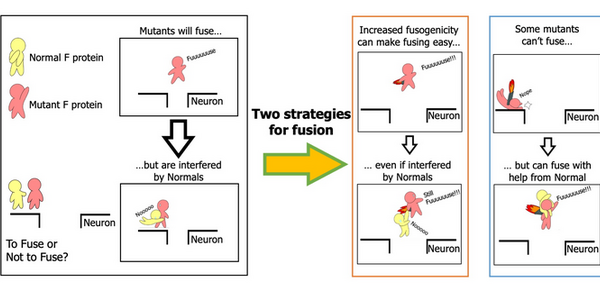 Article teaser image