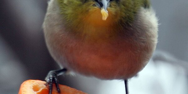 Article teaser image