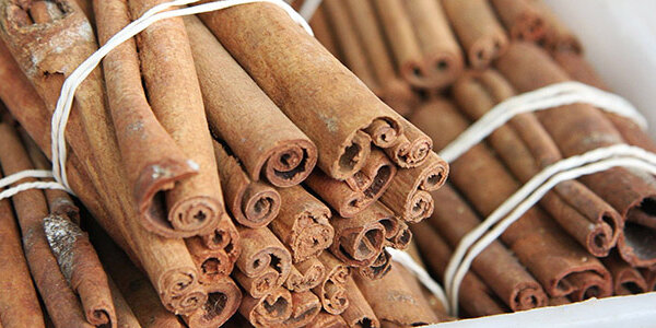 Article teaser image