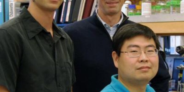 Article teaser image