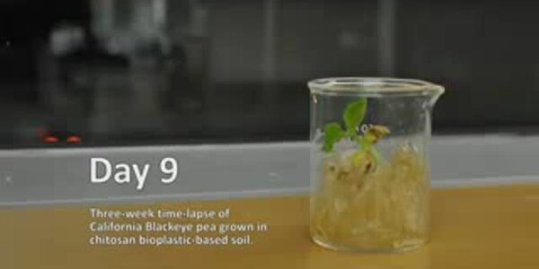 Article teaser image