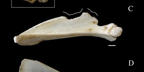 Article teaser image