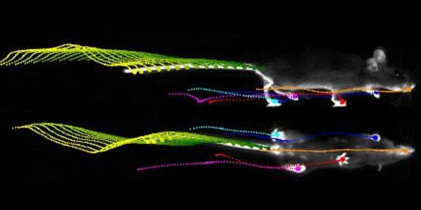 Article teaser image