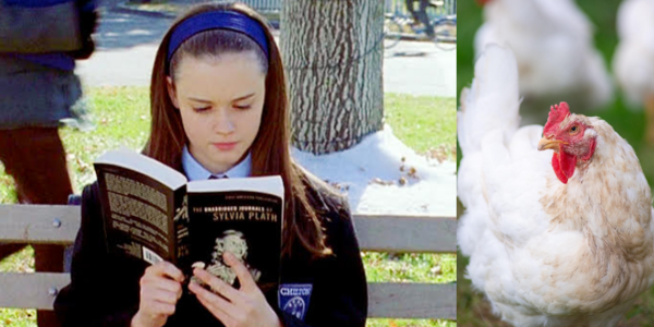 Article teaser image