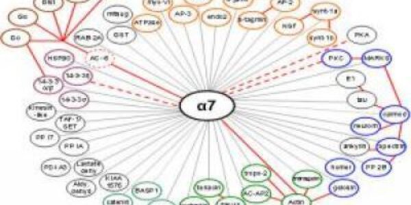 Article teaser image