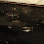 Article teaser image