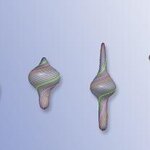 Article teaser image