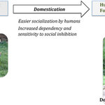 Article teaser image