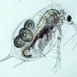 Article teaser image