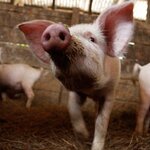 Article teaser image