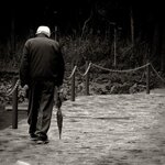 Article teaser image