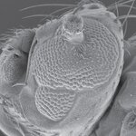 Article teaser image