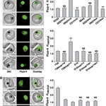 Article teaser image