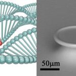 Article teaser image